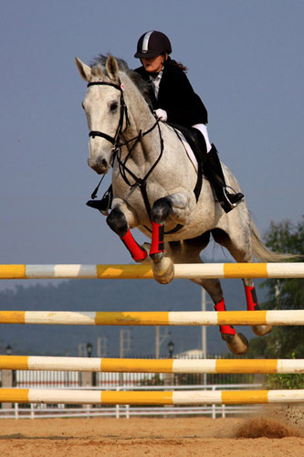 乌迪内斯迎法联杯关键赛;赛前强势反弹;赛场秩序良好;年轻球员获得机会的简单介绍 乌迪内斯迎法联杯关键赛;赛前强势反弹;赛场秩序良好;年轻球员获得机会的简单介绍